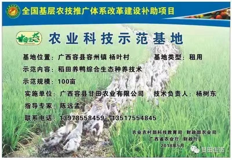 补硒的保健品有几种（硒含量高的保健品）-硒宝网