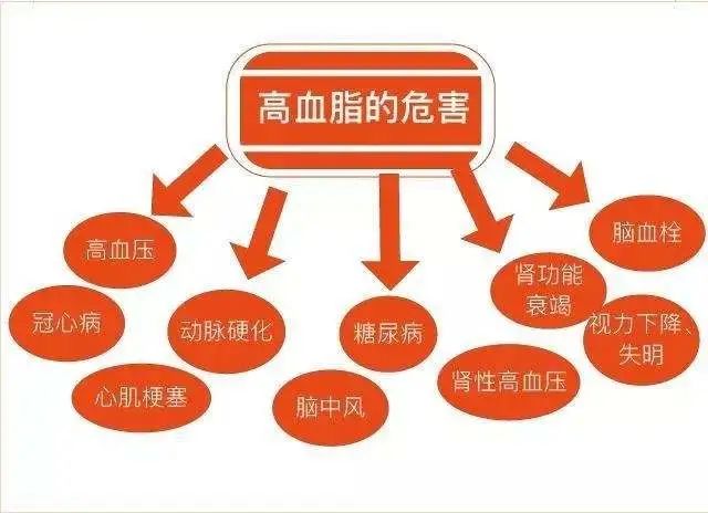 三高人群可以补硒么(补硒能降低三高吗)-硒宝网