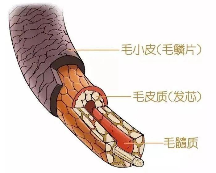 燕麦片有补硒作用吗（补燕麦片作用硒有副作用吗）-硒宝网