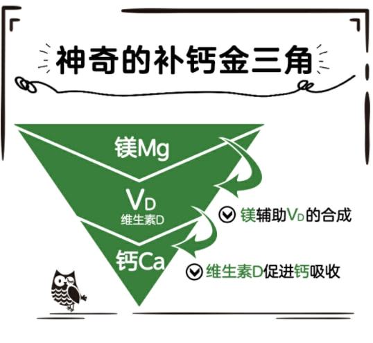 老年人怎么补钙效果最好(老好人补钙什么好)-硒宝网