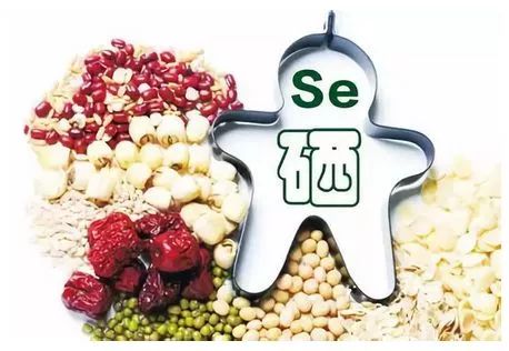 吃什么最补硒保健品(补硒吃保健品好还是吃药好)-硒宝网