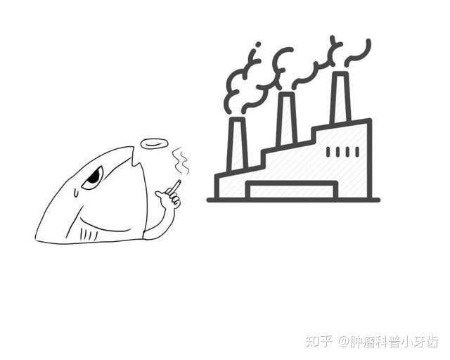 鼻咽癌要补硒吗好吗(补好鼻咽癌硒要多长时间)-硒宝网