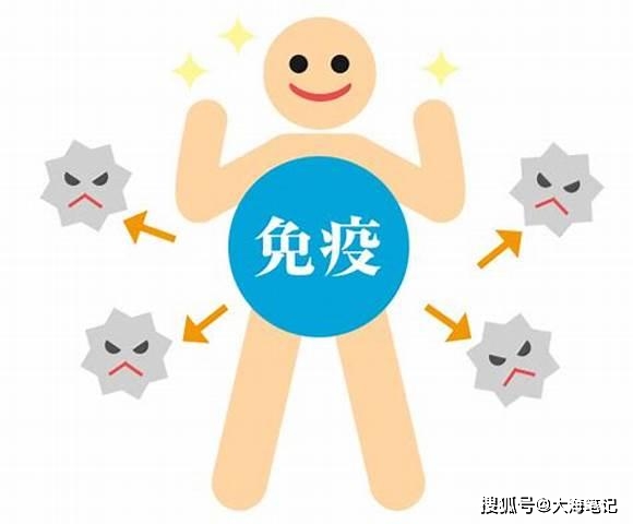 白细胞高补硒有用吗(硒对白细胞的作用)-硒宝网