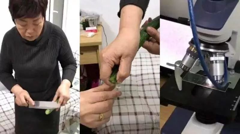 被狗咬了能不能补硒(狗狗可以补硒吗)-硒宝网