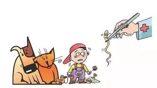 被狗咬了能不能补硒(狗狗可以补硒吗)-硒宝网