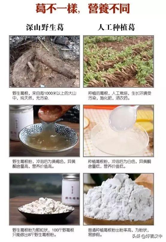 喝着葛根粉能补硒吗（能喝补粉葛根硒的中药吗）-硒宝网