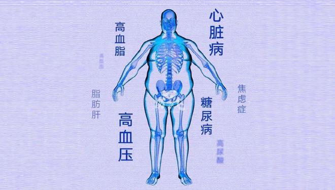 补硒最好的鱼凤尾鱼(凤尾鱼的功效)-硒宝网