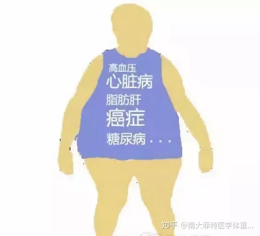 补硒最好的鱼凤尾鱼(凤尾鱼的功效)-硒宝网