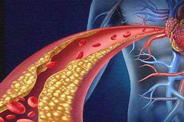 补硒最好的鱼凤尾鱼(凤尾鱼的功效)-硒宝网