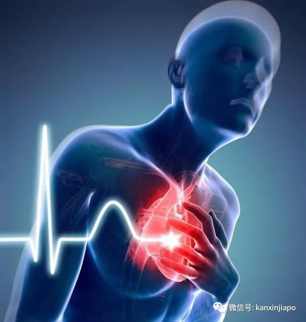 补硒最好的鱼凤尾鱼(凤尾鱼的功效)-硒宝网