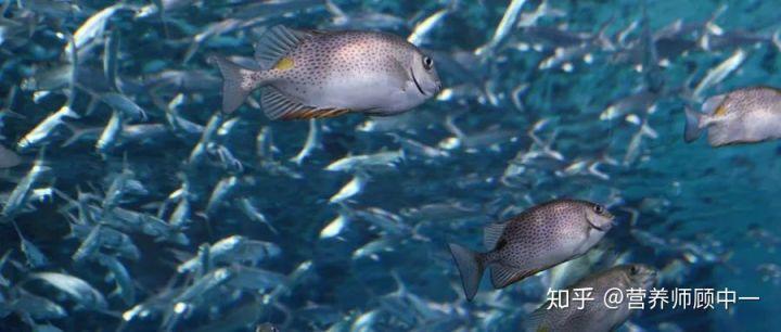 一岁孩子缺硒怎么补（缺硒的孩子会怎样）-硒宝网