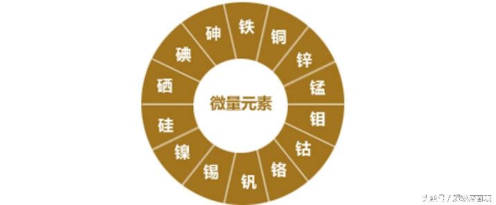 查微量元素多少钱（查微量元素快吗）-硒宝网