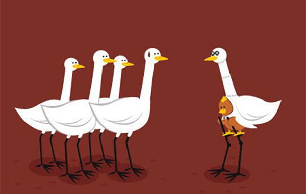 2岁宝宝补钙(一岁宝宝吃什么补钙)-硒宝网