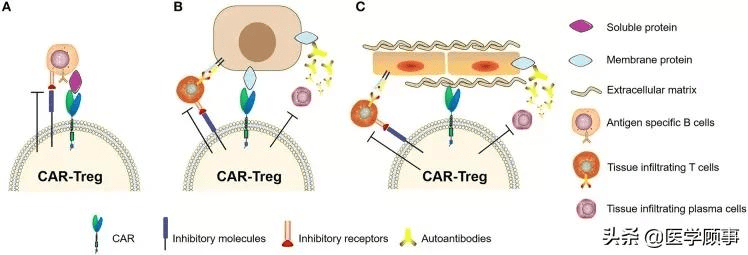 补硒的几大功能是啥（硒是补充人体什么的）-硒宝网