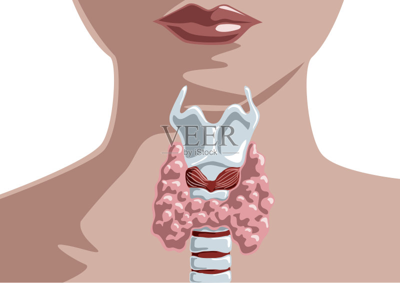 甲状腺癌后能补硒吗（甲状腺癌补硒要补几个月）-硒宝网