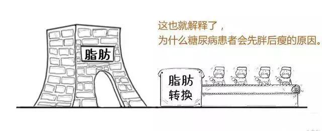 打胰岛素补硒可以吗（补胰岛素打硒可以吗）-硒宝网