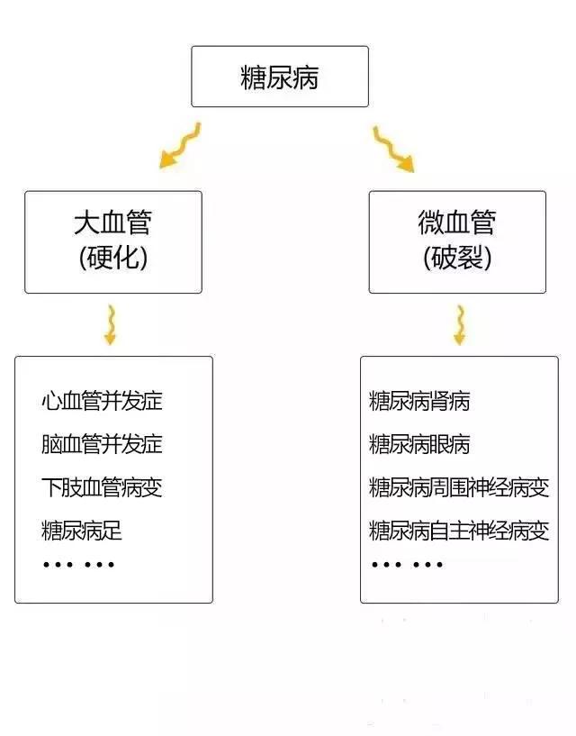 打胰岛素补硒可以吗（补胰岛素打硒可以吗）-硒宝网