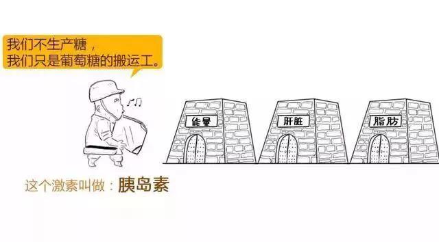 打胰岛素补硒可以吗（补胰岛素打硒可以吗）-硒宝网