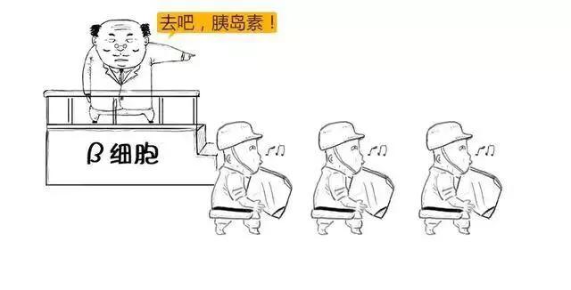 打胰岛素补硒可以吗（补胰岛素打硒可以吗）-硒宝网