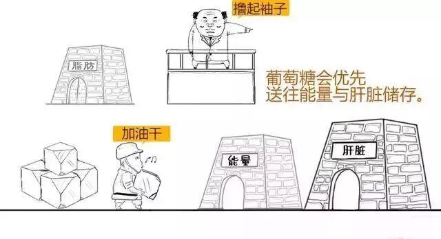 打胰岛素补硒可以吗（补胰岛素打硒可以吗）-硒宝网