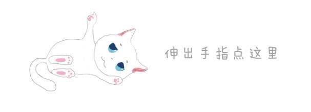 猫咪怎么补钙（猫咪补钙吃什么）-硒宝网