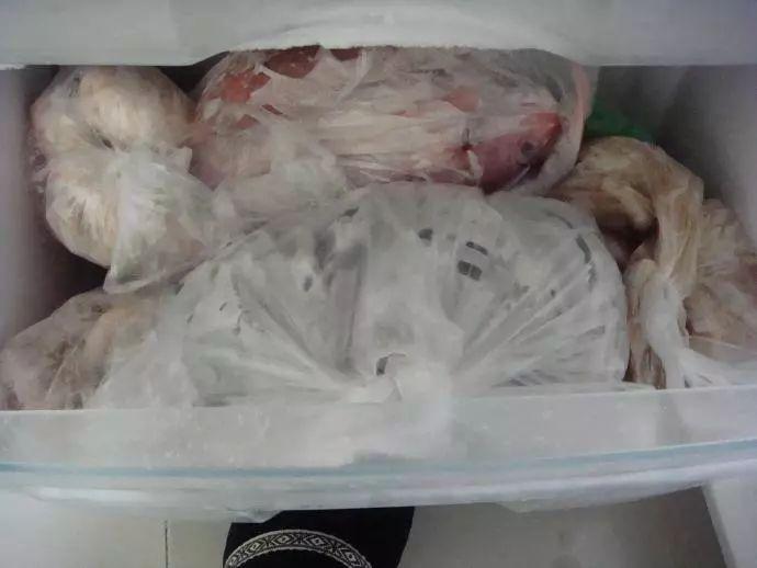 猫咪怎么补钙(猫咪补钙吃什么)-硒宝网