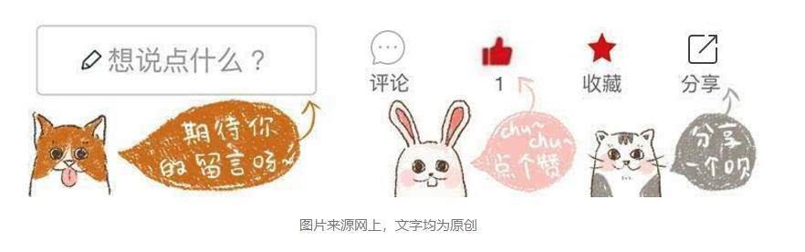 猫咪怎么补钙（猫咪补钙吃什么）-硒宝网