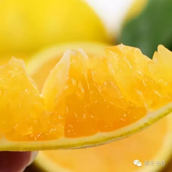 哪些蔬菜补钙(宝宝吃什么蔬菜补钙)-硒宝网