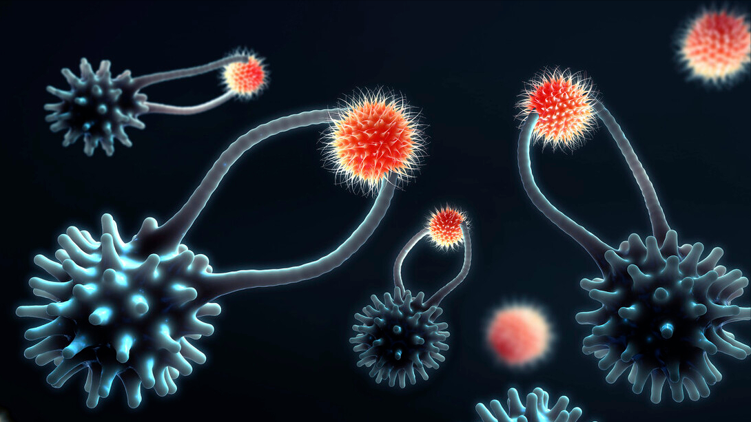 补锌的作用(补锌对人体的作用)-硒宝网