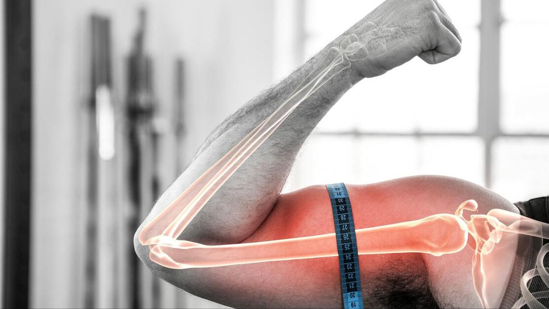 补锌的作用(补锌对人体的作用)-硒宝网