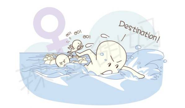 男人补锌有什么好处(男人补锌的好处)-硒宝网