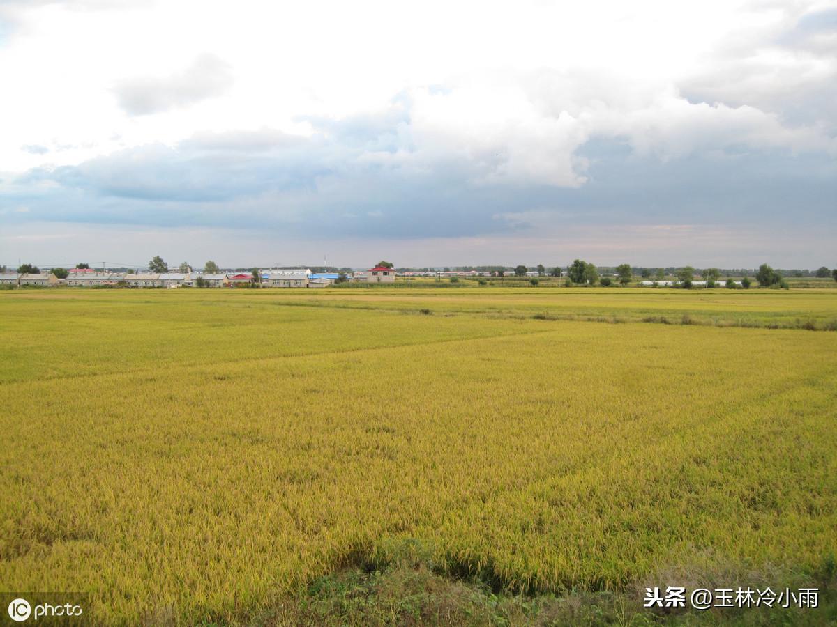 人民大会堂补硒大会(人民大会堂一盒多少钱一盒)-硒宝网