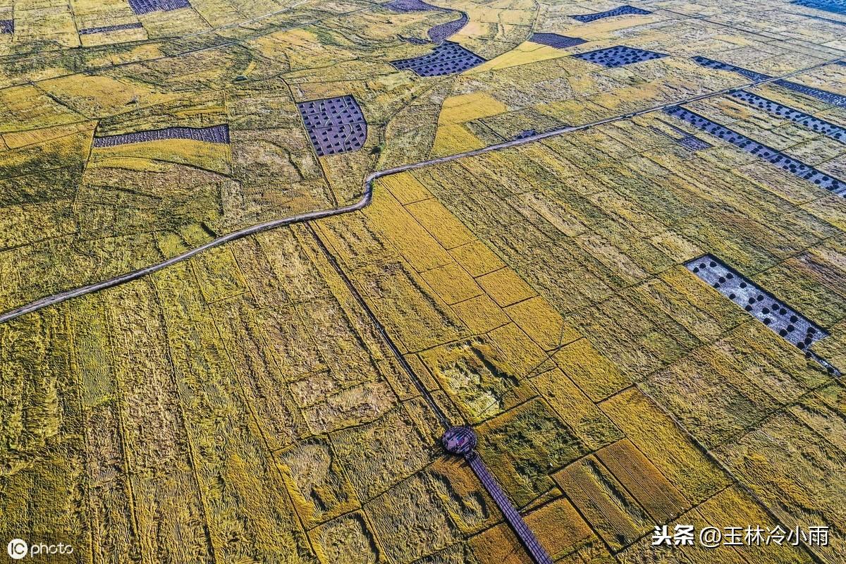 人民大会堂补硒大会(人民大会堂一盒多少钱一盒)-硒宝网