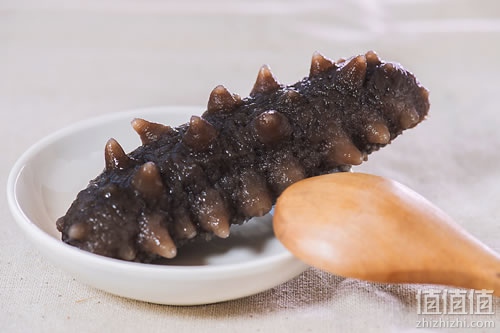 什么食物补钙效果好(食物补钙哪个最好)-硒宝网