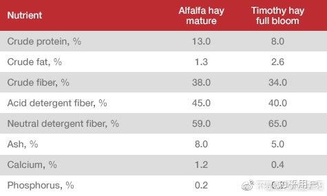 怀孕几个月补钙（怀孕补钙月子里长牙正常吗）-硒宝网