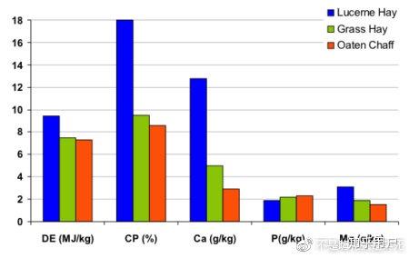怀孕几个月补钙（怀孕补钙月子里长牙正常吗）-硒宝网