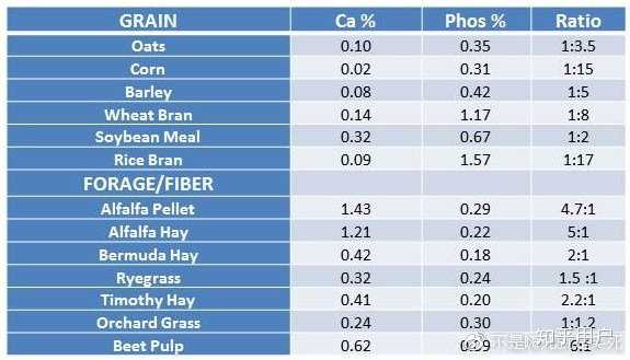 怀孕几个月补钙（怀孕补钙月子里长牙正常吗）-硒宝网