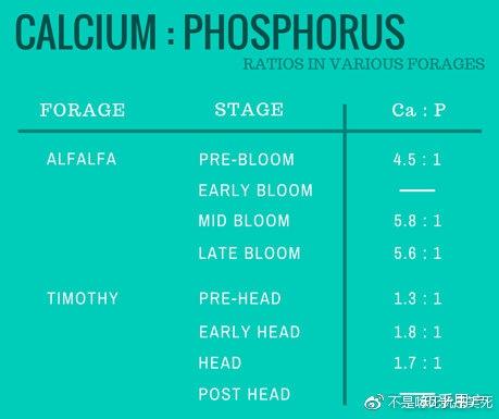 怀孕几个月补钙（怀孕补钙月子里长牙正常吗）-硒宝网