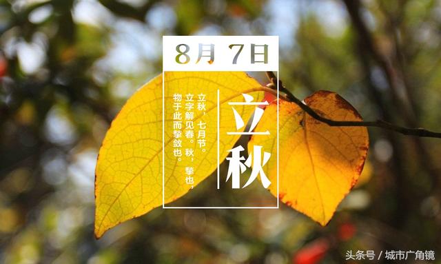 吃鱼骨头能补钙吗（吃鱼骨补钙能吸收吗）-硒宝网