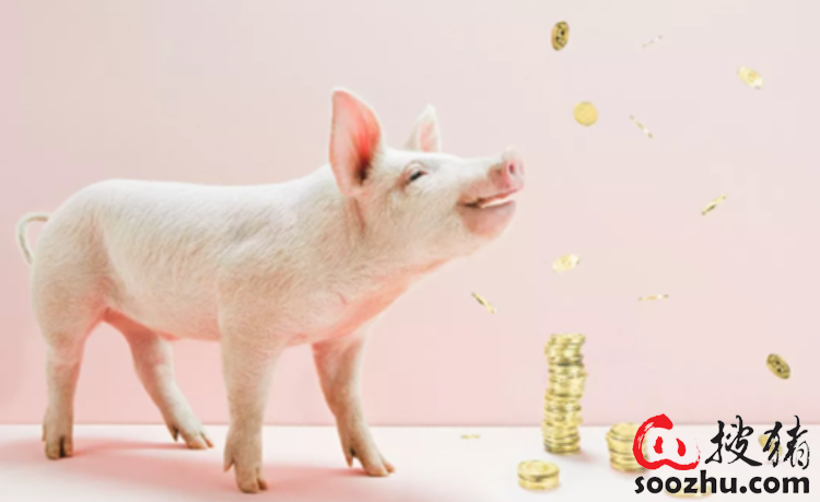 猪一般补硒的方法是（猪怎么补硒）-硒宝网