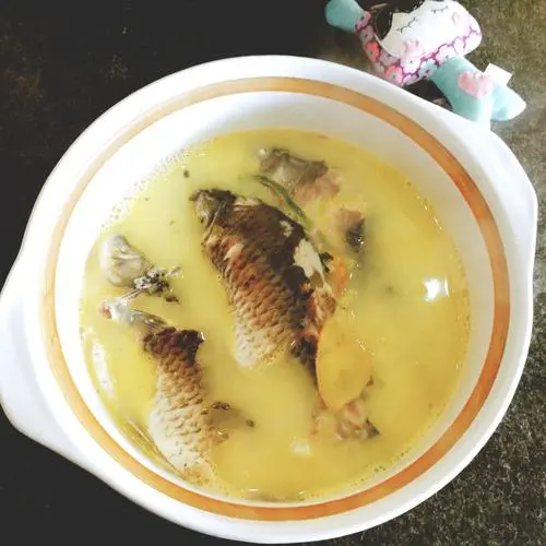 猫怎么补钙（猫补钙吃什么牌子的钙片）-硒宝网