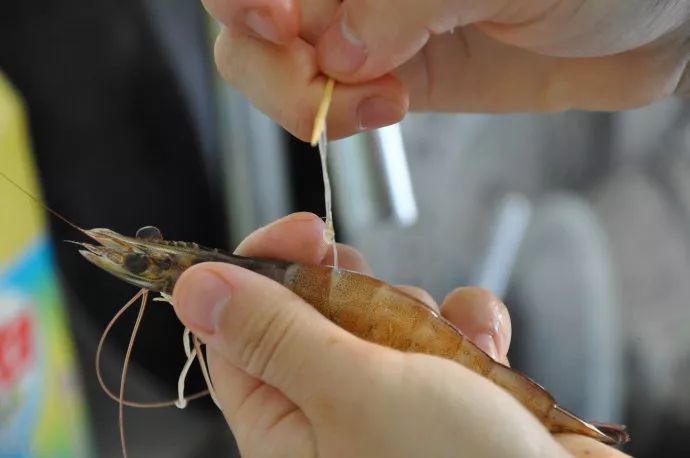 虾能补钙吗（吃虾能补钙是真吗）-硒宝网