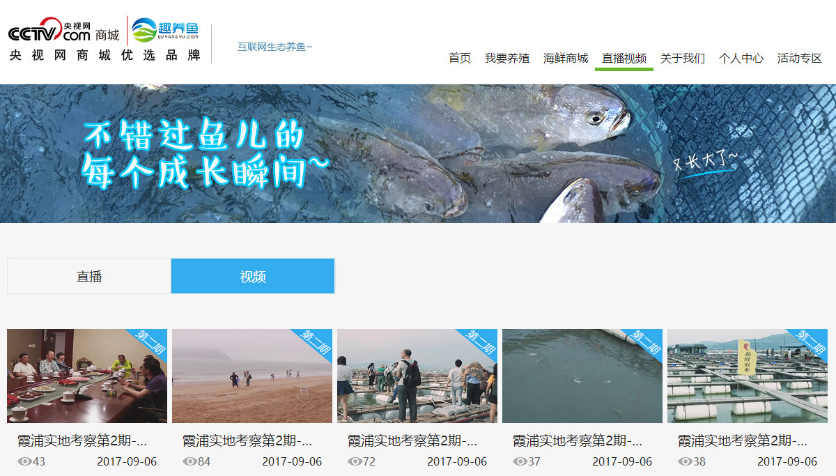 虾能补钙吗（吃虾能补钙是真吗）-硒宝网