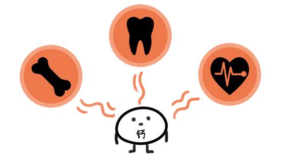 虾可以补钙吗（虾可不可以补钙）-硒宝网