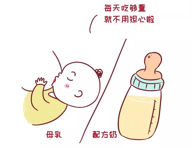 肾结石怎么补钙（肾结石补钙会怎么样）-硒宝网