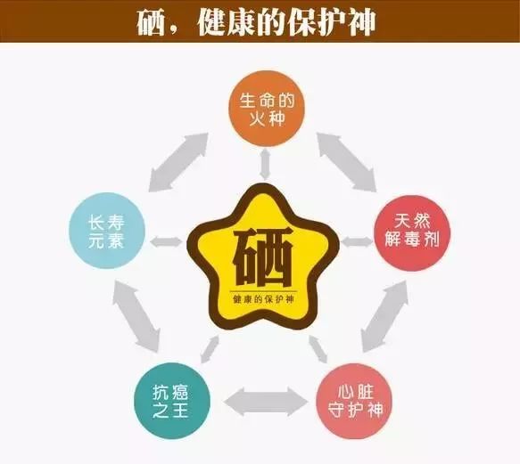全民补硒日百度百科(517全民补硒)-硒宝网