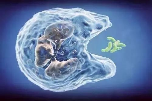 全民补硒日百度百科(517全民补硒)-硒宝网