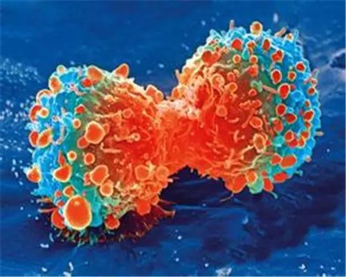 大动脉炎需要补硒吗（补硒需要ve吗）-硒宝网