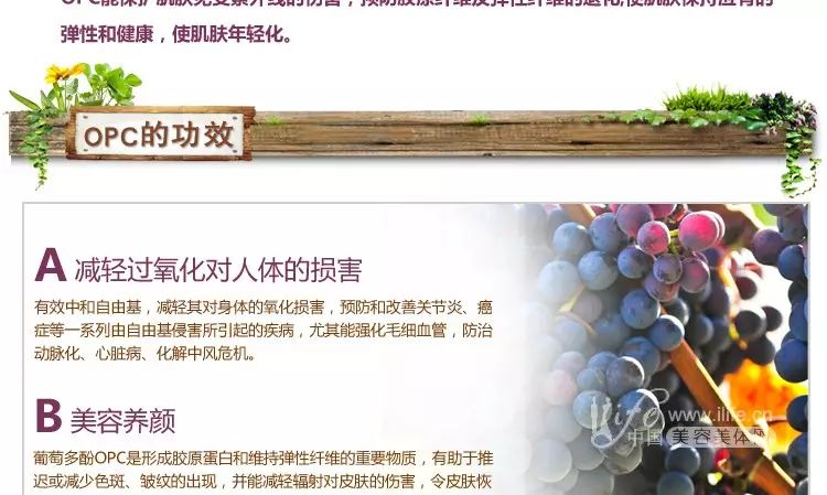 大动脉炎需要补硒吗（补硒需要ve吗）-硒宝网