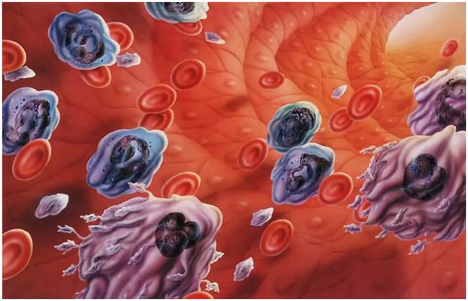 大动脉炎需要补硒吗（人需要终身补硒吗）-硒宝网